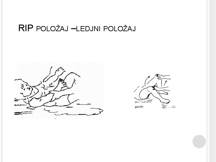 RIP POLOŽAJ –LEDJNI POLOŽAJ 