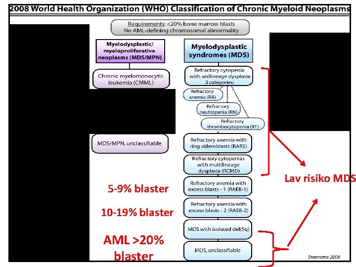 5 -9% blaster 10 -19% blaster AML >20% blaster Lav risiko MDS 