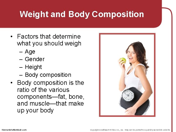 Weight and Body Composition • Factors that determine what you should weigh – –