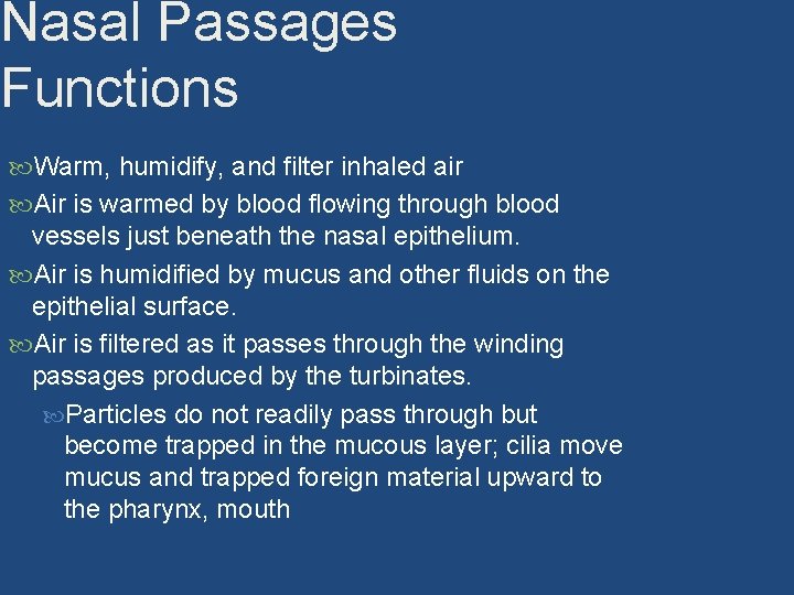 Nasal Passages Functions Warm, humidify, and filter inhaled air Air is warmed by blood