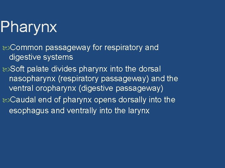 Pharynx Common passageway for respiratory and digestive systems Soft palate divides pharynx into the