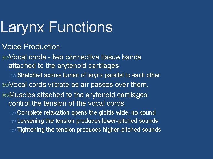 Larynx Functions Voice Production Vocal cords - two connective tissue bands attached to the