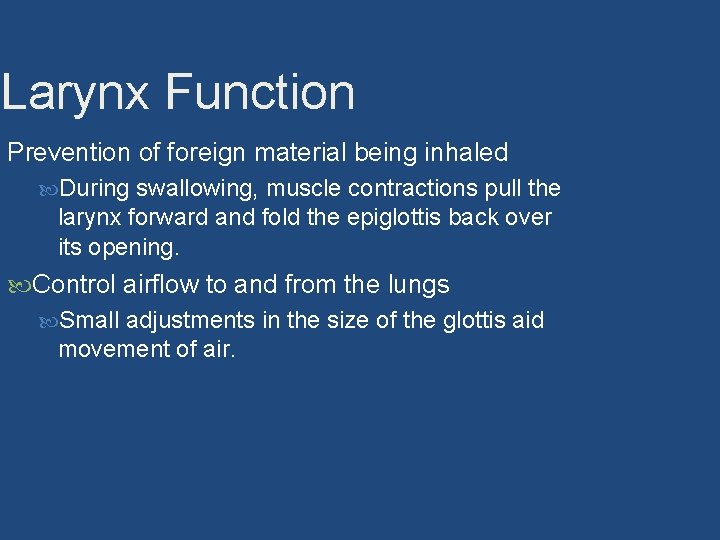 Larynx Function Prevention of foreign material being inhaled During swallowing, muscle contractions pull the