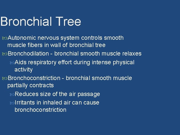 Bronchial Tree Autonomic nervous system controls smooth muscle fibers in wall of bronchial tree