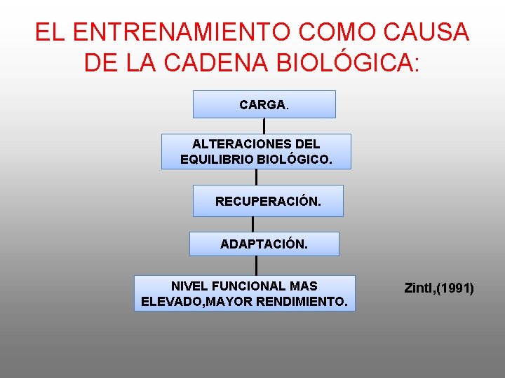 EL ENTRENAMIENTO COMO CAUSA DE LA CADENA BIOLÓGICA: CARGA. ALTERACIONES DEL EQUILIBRIO BIOLÓGICO. RECUPERACIÓN.