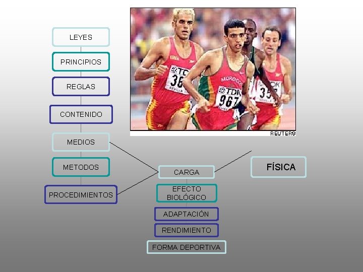 LEYES PRINCIPIOS REGLAS CONTENIDO MEDIOS METODOS PROCEDIMIENTOS CARGA EFECTO BIOLÓGICO ADAPTACIÓN RENDIMIENTO FORMA DEPORTIVA