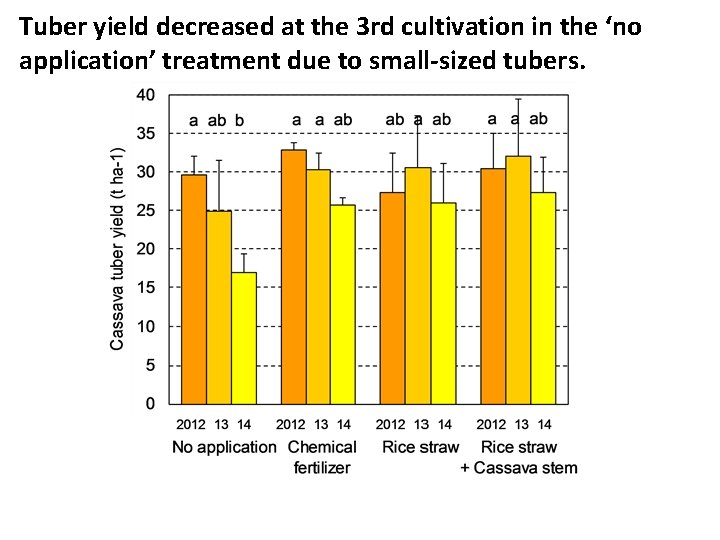 Tuber yield decreased at the 3 rd cultivation in the ‘no application’ treatment due