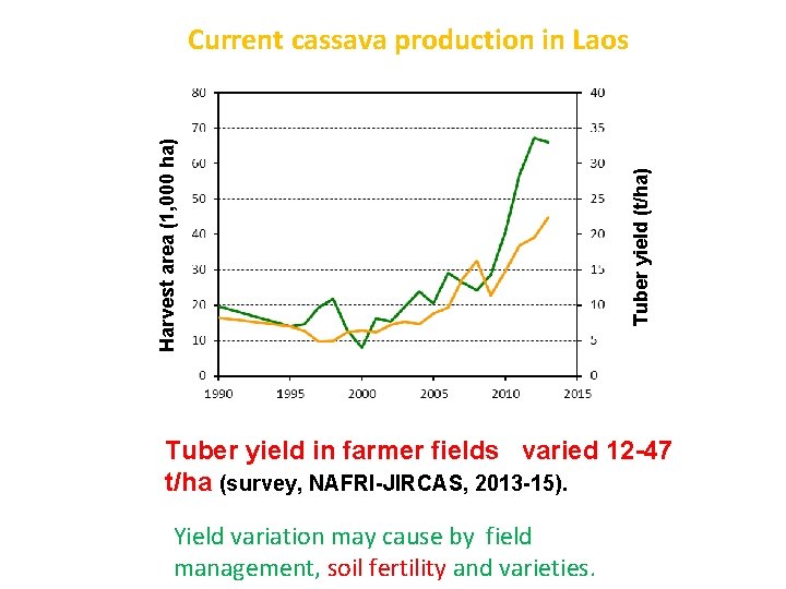 Tuber yield (t/ha) Harvest area (1, 000 ha) Current cassava production in Laos Tuber