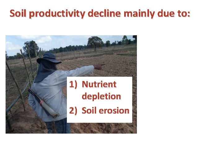 Soil productivity decline mainly due to: 1) Nutrient depletion 2) Soil erosion 