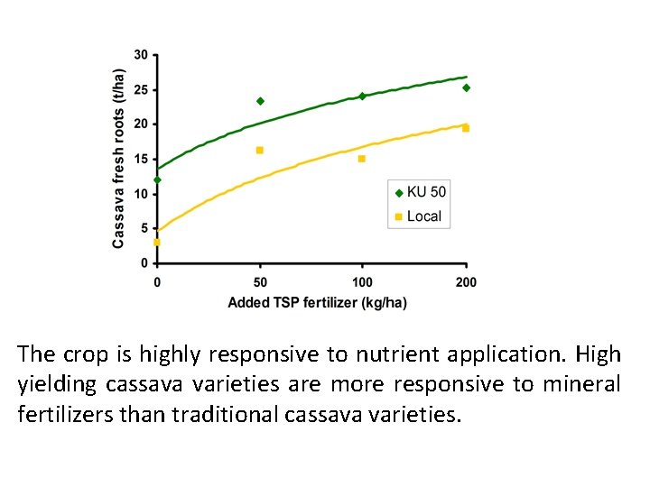 The crop is highly responsive to nutrient application. High yielding cassava varieties are more
