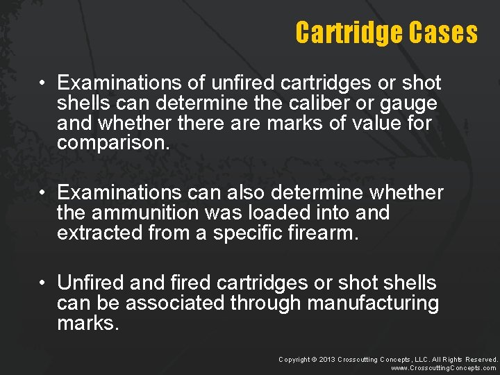 Cartridge Cases • Examinations of unfired cartridges or shot shells can determine the caliber