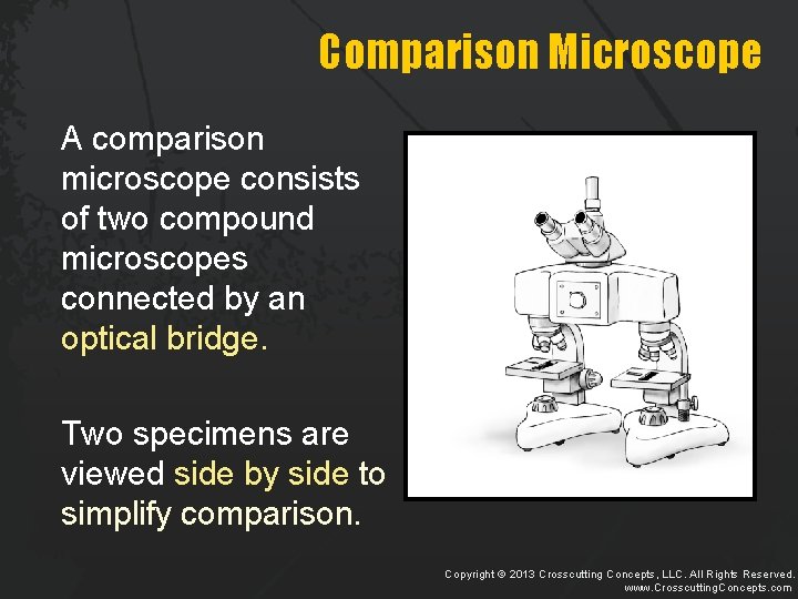Comparison Microscope A comparison microscope consists of two compound microscopes connected by an optical