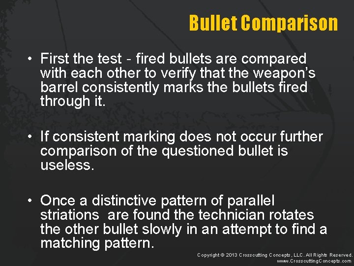 Bullet Comparison • First the test‐fired bullets are compared with each other to verify
