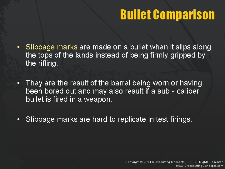 Bullet Comparison • Slippage marks are made on a bullet when it slips along