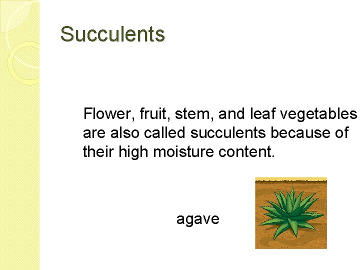 Succulents Flower, fruit, stem, and leaf vegetables are also called succulents because of their