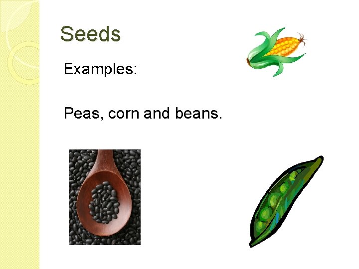 Seeds Examples: Peas, corn and beans. 