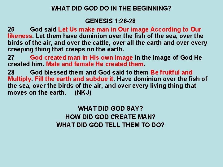 WHAT DID GOD DO IN THE BEGINNING? GENESIS 1: 26 -28 26 God said