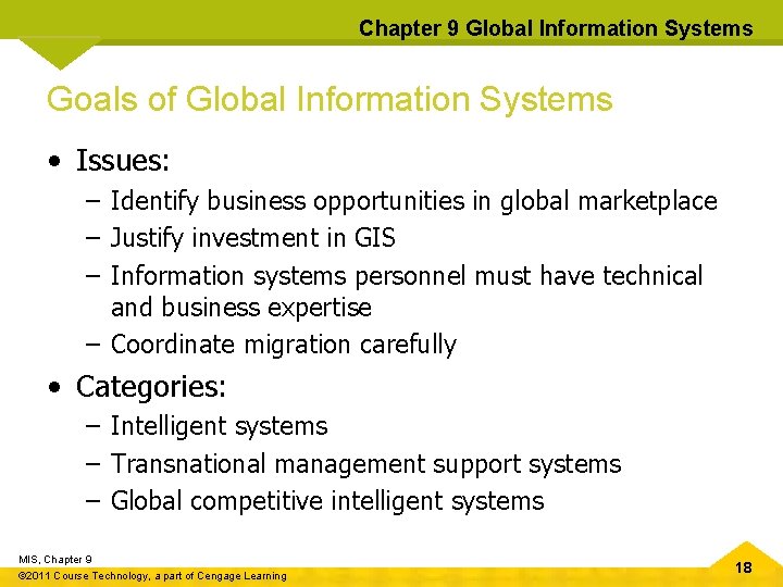 Chapter 9 Global Information Systems Goals of Global Information Systems • Issues: – Identify