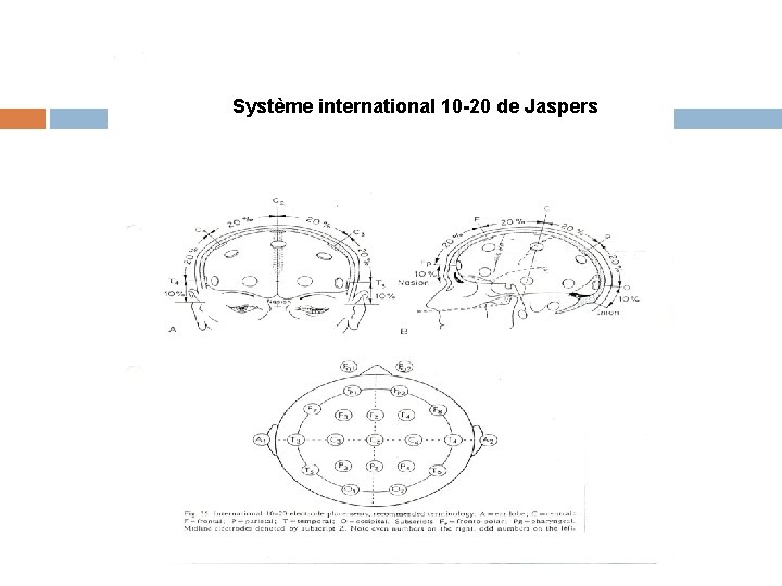 Système international 10 -20 de Jaspers 