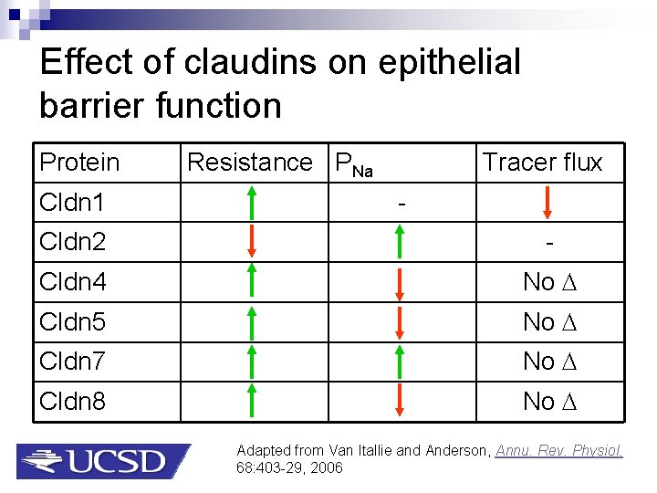 Effect of claudins on epithelial barrier function Protein Cldn 1 Resistance PNa Tracer flux