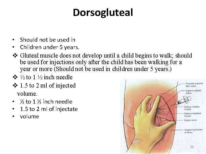 Dorsogluteal • Should not be used in • Children under 5 years. v Gluteal