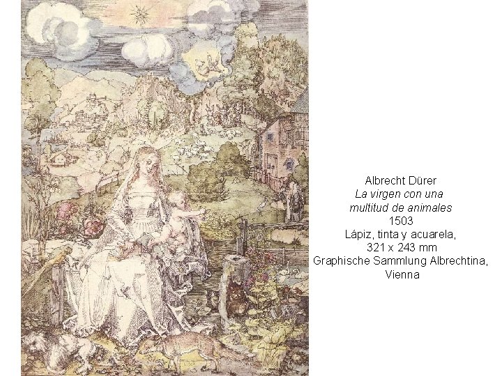 Albrecht Dürer La virgen con una multitud de animales 1503 Lápiz, tinta y acuarela,