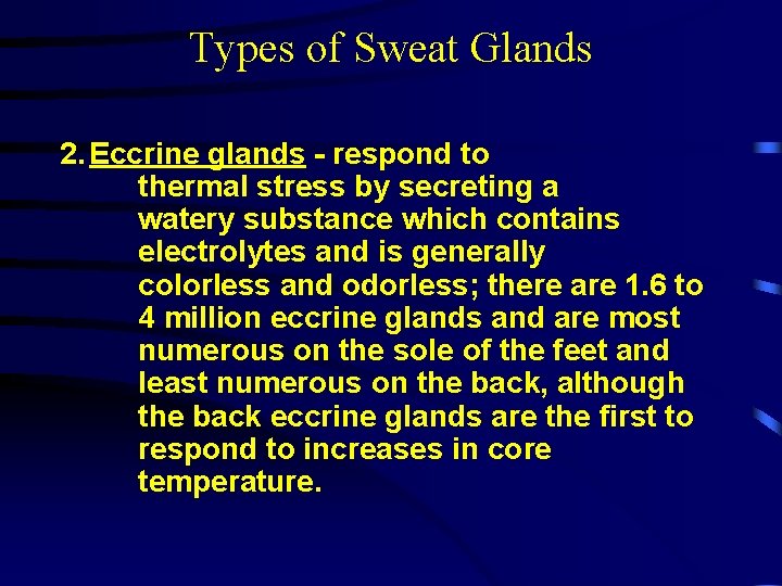 Types of Sweat Glands 2. Eccrine glands - respond to thermal stress by secreting