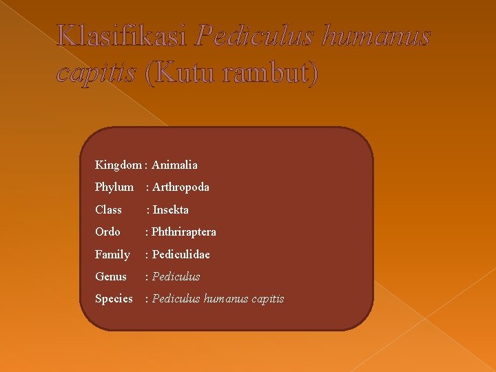 Klasifikasi Pediculus humanus capitis (Kutu rambut) Kingdom : Animalia Phylum : Arthropoda Class :