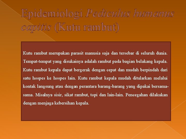 Epidemiologi Pediculus humanus capitis (Kutu rambut) Kutu rambut merupakan parasit manusia saja dan tersebar