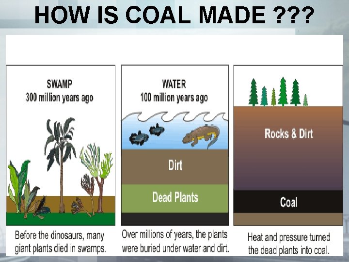 HOW IS COAL MADE ? ? ? HOW IS COAL MADE ? ? ?