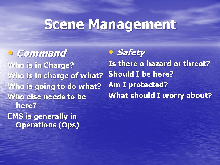 Scene Management • Command Who is in Charge? Who is in charge of what?