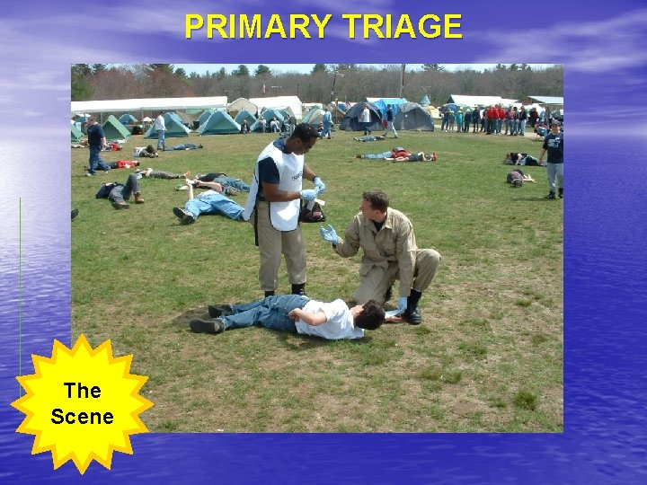 PRIMARY TRIAGE The Scene 