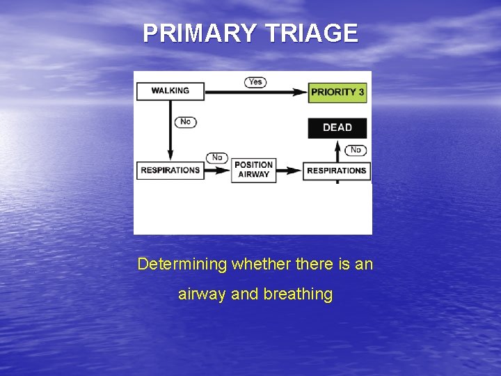 PRIMARY TRIAGE Determining whethere is an airway and breathing 