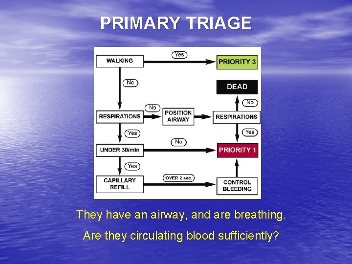 PRIMARY TRIAGE They have an airway, and are breathing. Are they circulating blood sufficiently?