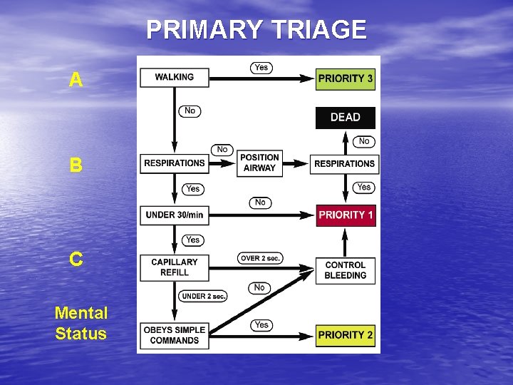 PRIMARY TRIAGE A B C Mental Status 