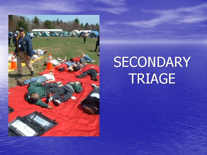 SECONDARY TRIAGE 