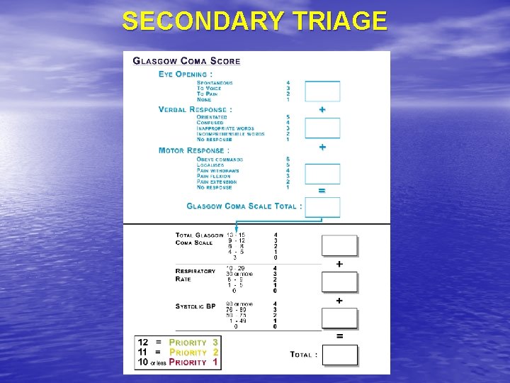 SECONDARY TRIAGE 