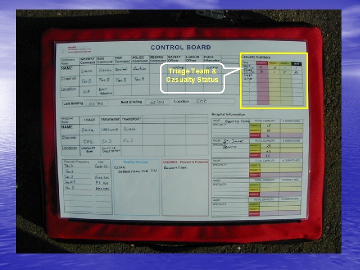 Triage Team & Casualty Status 