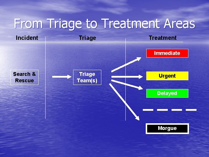 From Triage to Treatment Areas Incident Triage Treatment Immediate Search & Rescue Triage Team(s)