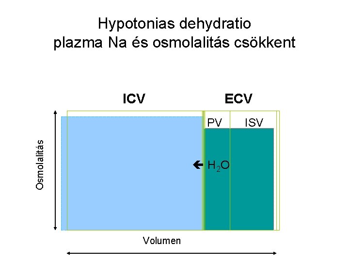 Hypotonias dehydratio plazma Na és osmolalitás csökkent ICV ECV Osmolalitás PV H 2 O