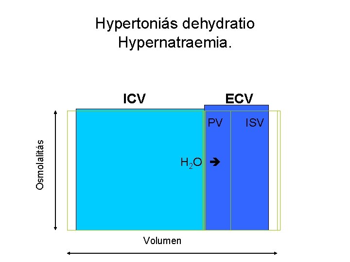 Hypertoniás dehydratio Hypernatraemia. ICV ECV Osmolalitás PV H 2 O Volumen ISV 