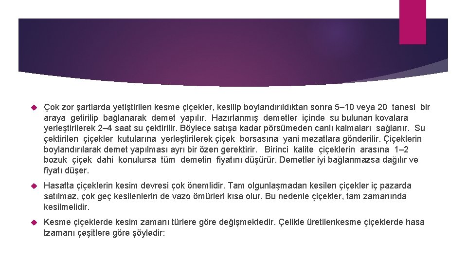  Çok zor şartlarda yetiştirilen kesme çiçekler, kesilip boylandırıldıktan sonra 5– 10 veya 20