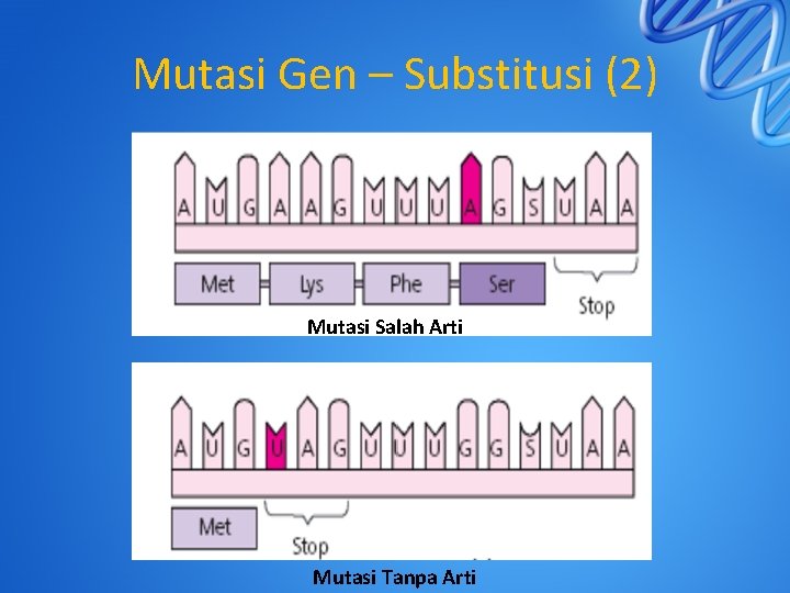 Mutasi Gen – Substitusi (2) Mutasi Salah Arti Mutasi Tanpa Arti 