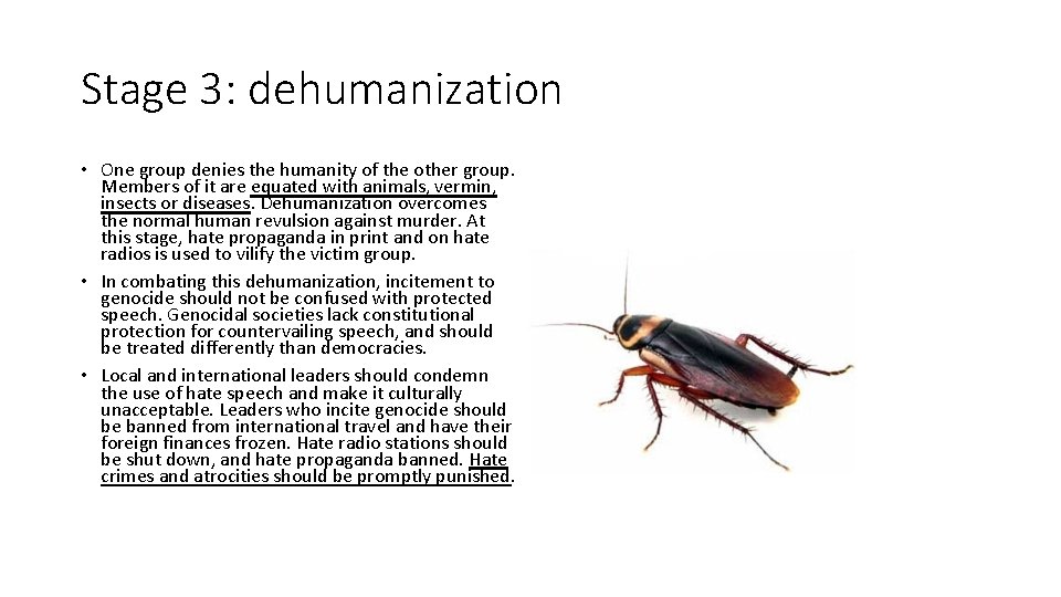 Stage 3: dehumanization • One group denies the humanity of the other group. Members