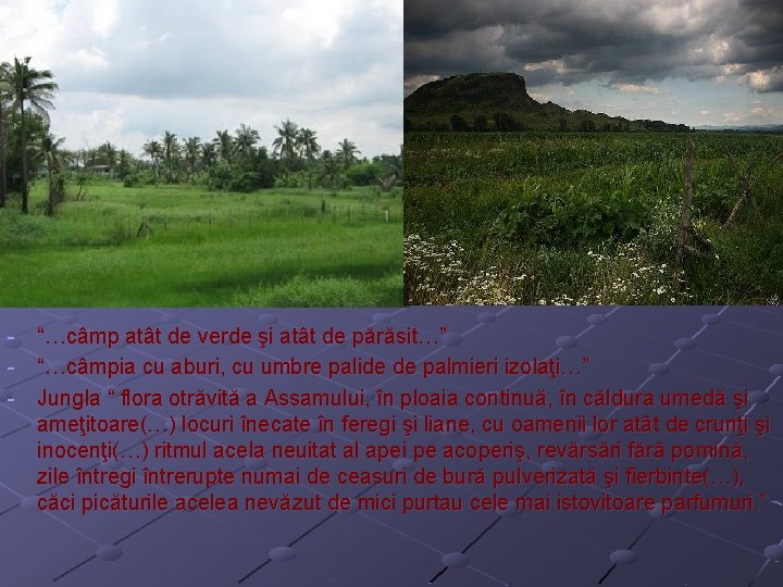 - “…câmp atât de verde şi atât de părăsit…” “…câmpia cu aburi, cu umbre