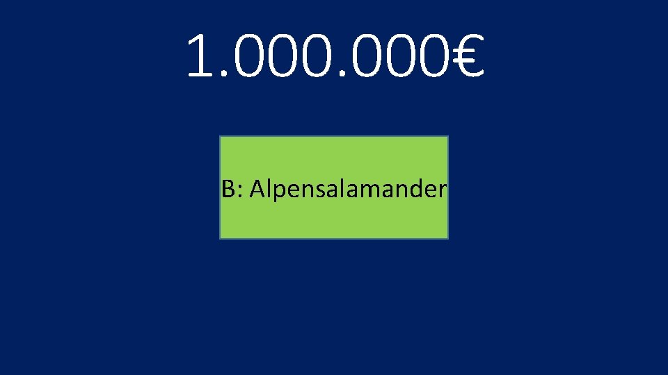 1. 000€ B: Alpensalamander 