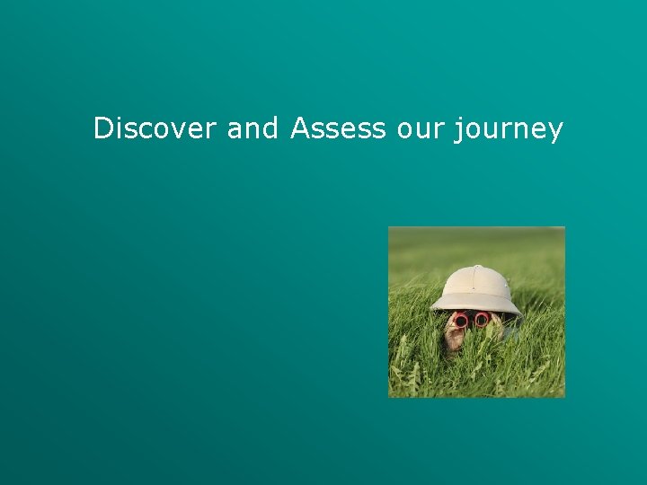 Discover and Assess our journey 