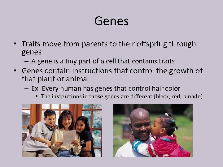 Genes • Traits move from parents to their offspring through genes – A gene
