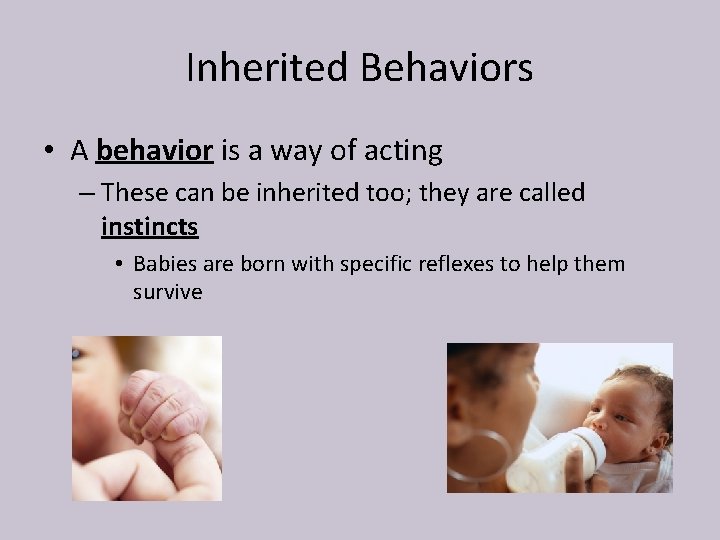 Inherited Behaviors • A behavior is a way of acting – These can be
