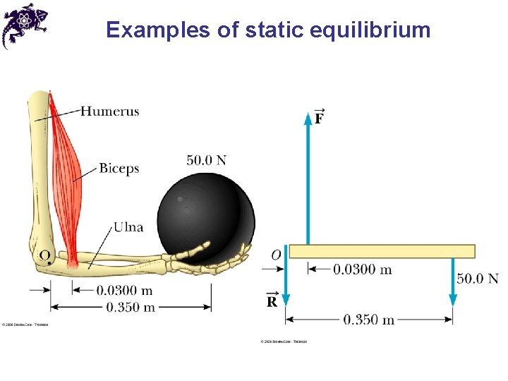 Examples of static equilibrium 